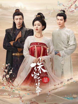 爆料吃瓜网《珠帘玉幕》免费在线观看