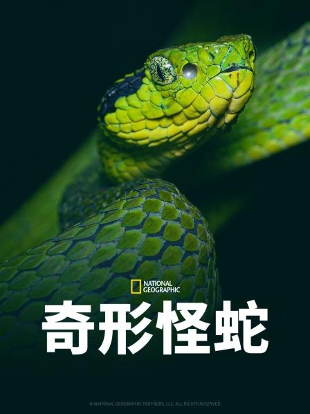 爆料瓜《奇形怪蛇》免费在线观看